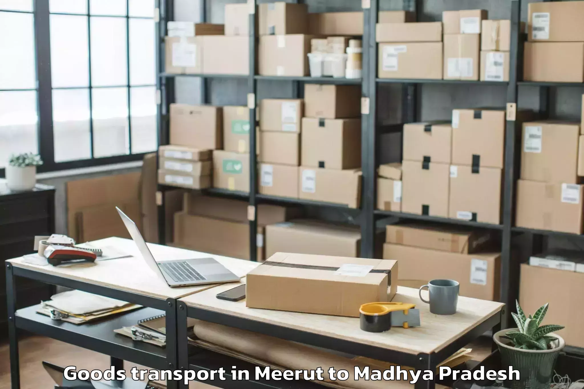 Quality Meerut to Dabra Pichhore Goods Transport